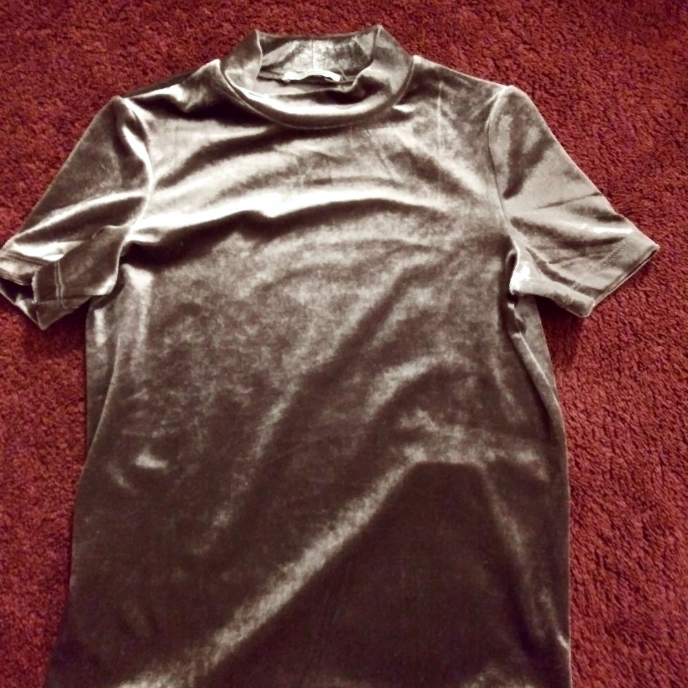 ZARA silver velvet top
